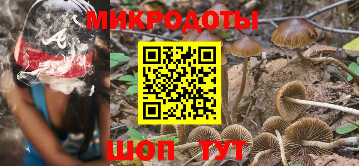 магазин    Вход с VPN  Норильск  Галлюциногенные грибы Psilocybe 